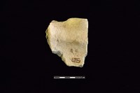 陶罐藏品圖，第2張